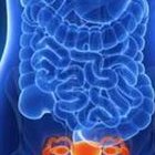 上海权威助孕机构排行榜，详尽解析与服务特色展示