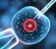 江苏南京48岁的三代试管婴儿需要多少钱？附详细排名