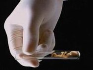 2026年在滨州去金门做试管的成功率有多高？如何提升成功率