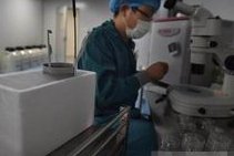 武汉卵子生孩子怎么收费？武汉有三代试管的私立医院吗？