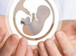 马来西亚做试管婴儿攻略，内含助孕流程及降低费用方法