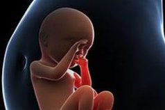 如何选择适合自己的促排方案？试管促排期间的注意事项