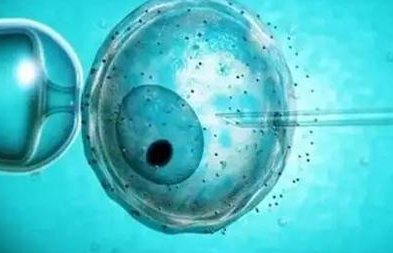 泰国做试管婴儿费用是多少？泰国试管成功率高吗？