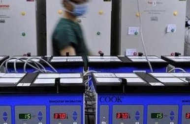 2026年未婚去自贡市妇幼试管成功率大揭秘，如何才能提升成功率