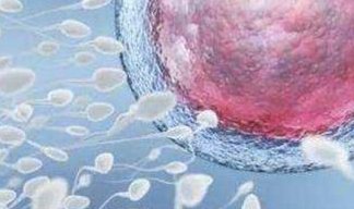 海南三代试管助孕机构最新排名公布，2026各院试管助孕项目详解