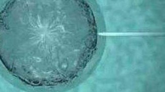 枣庄妇幼试管婴儿费用明细大公开，附最新成功率数据